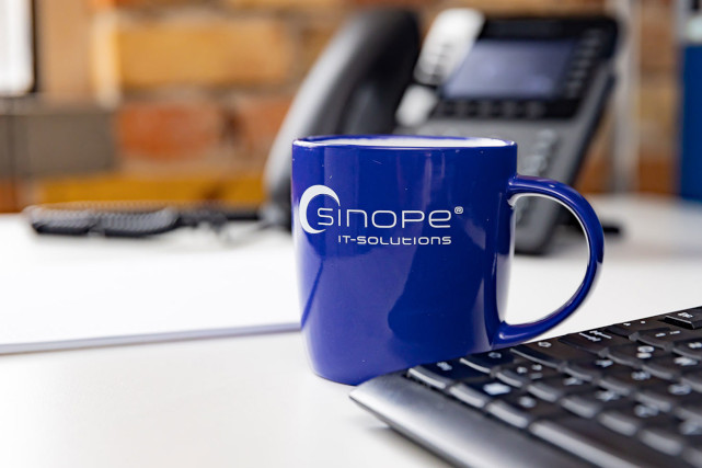 SINOPE ist Ihr IT-Businessberater für IT-gestützte Geschäftsprozesse 