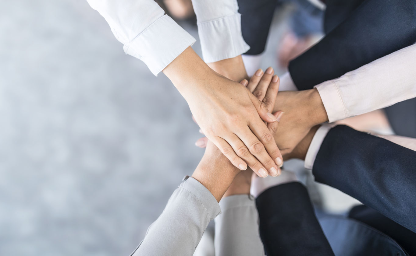 SINOPE ist Ihr Partner für die Optimierung von IT-basierten Geschäftsprozessen SINOPE ist Ihr Partner für die Optimierung von IT-basierten Geschäftsprozessen